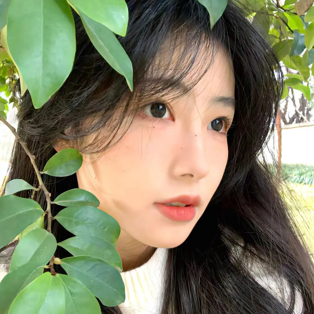 没有耳朵的兔子和两只耳朵的小鸡