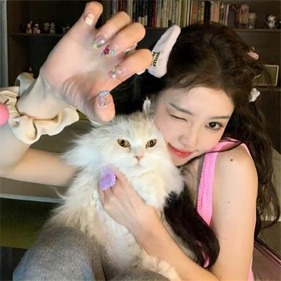 红鹰战士：天空的守护者